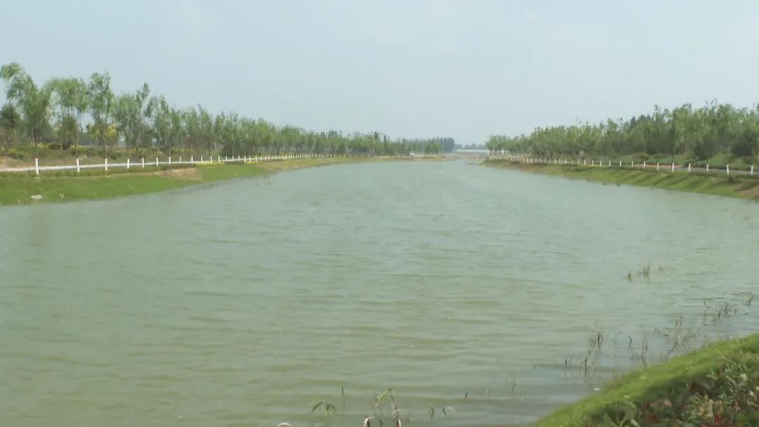2020123017236.jpg