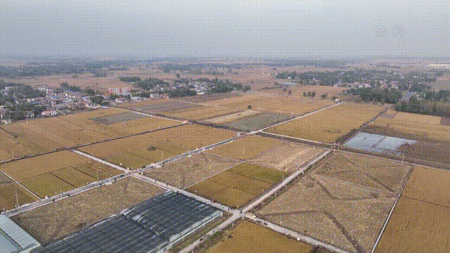2023113857.gif