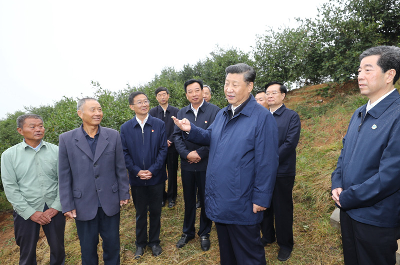　　9月16日至18日，中共中央總書記、國家主席、中央軍委主席習近平在河南考察。這是17日上午，習近平來到信陽市光山縣槐店鄉(xiāng)司馬光油茶園，同正在勞作的村民和管理人員交流。 新華社記者 鞠鵬 攝